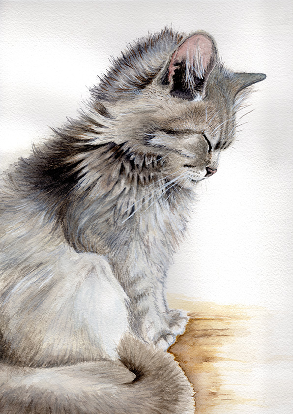 Cat portrait aquarel painting
