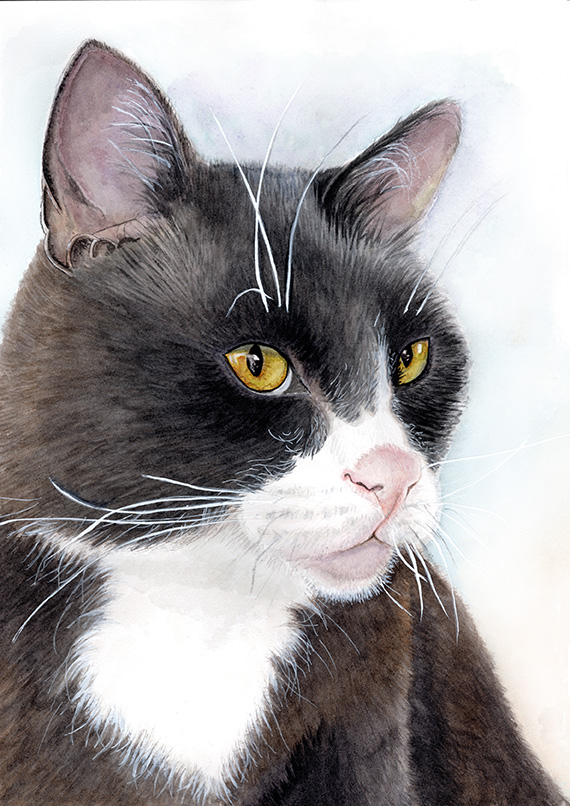 Pet portrait by Sandy Rat