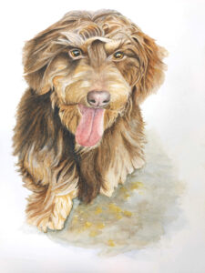 Pet Portrait by Sandy Wanja