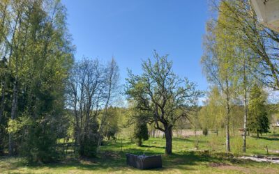 50 tinten groen…