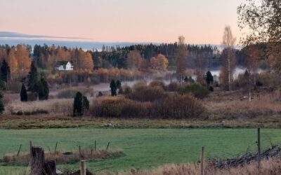 De herfst in Zweden is zo mooi…