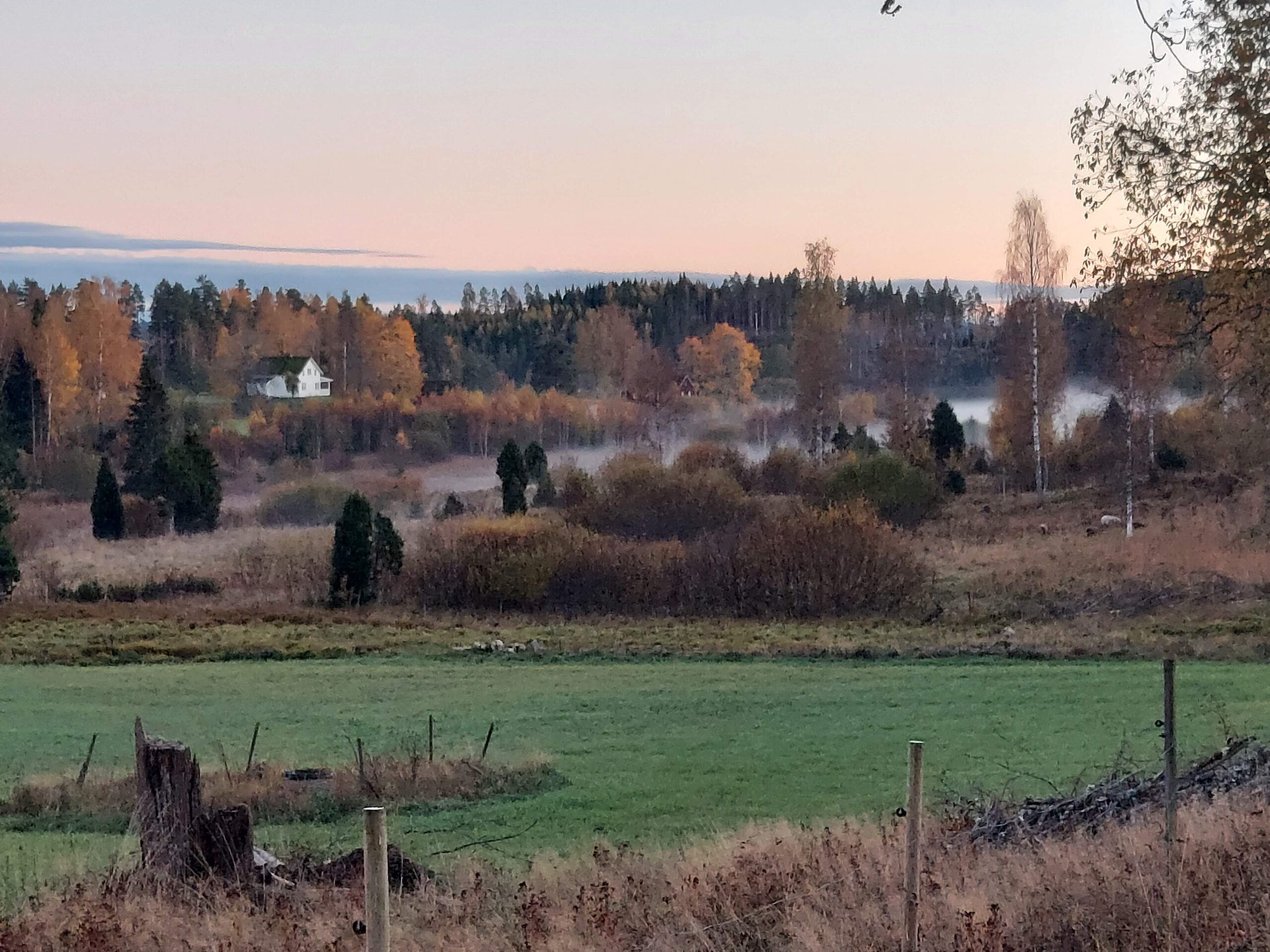 HERFST IN ZWEDEN