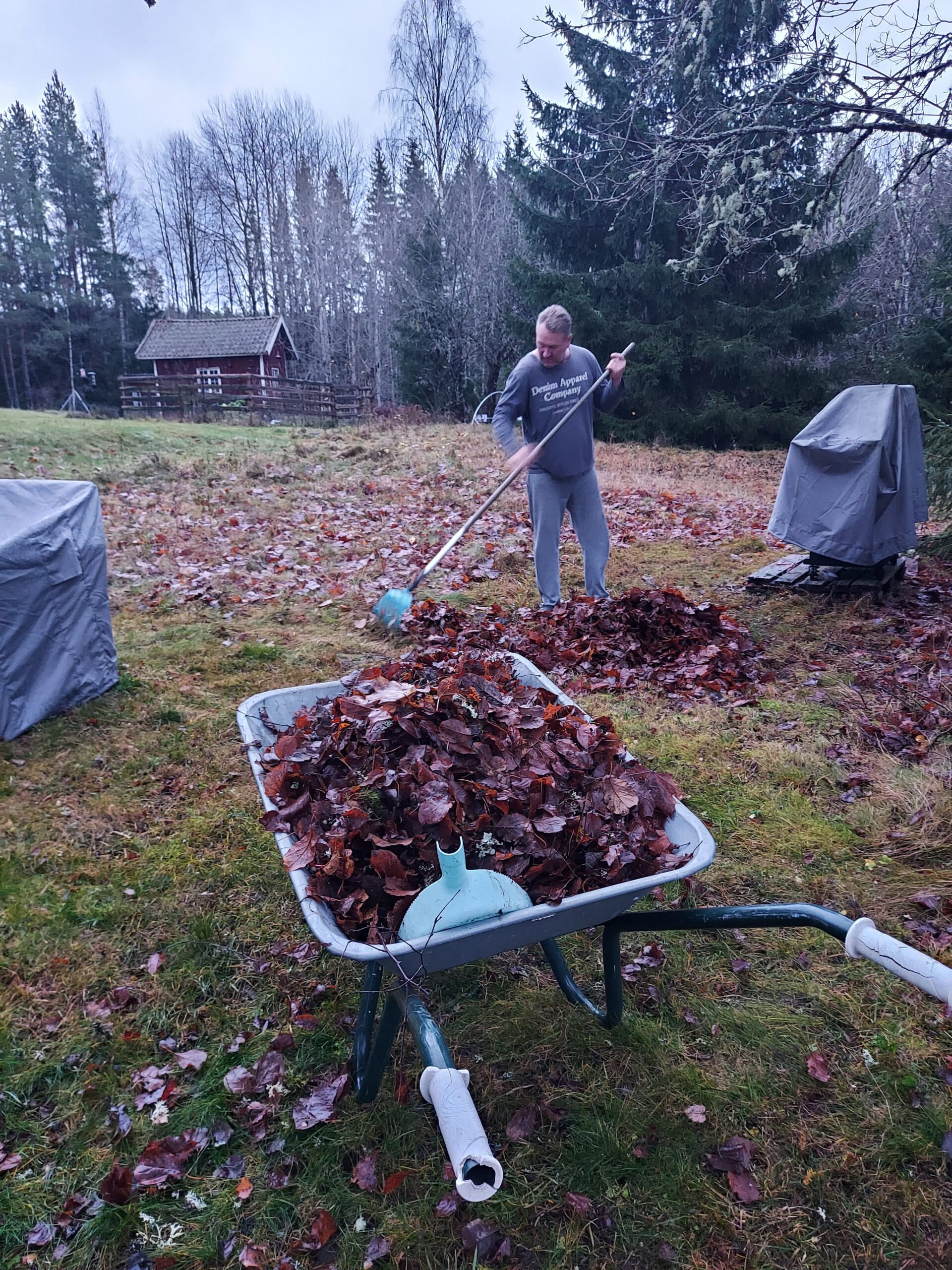 herfst bladeren herfst bladeren