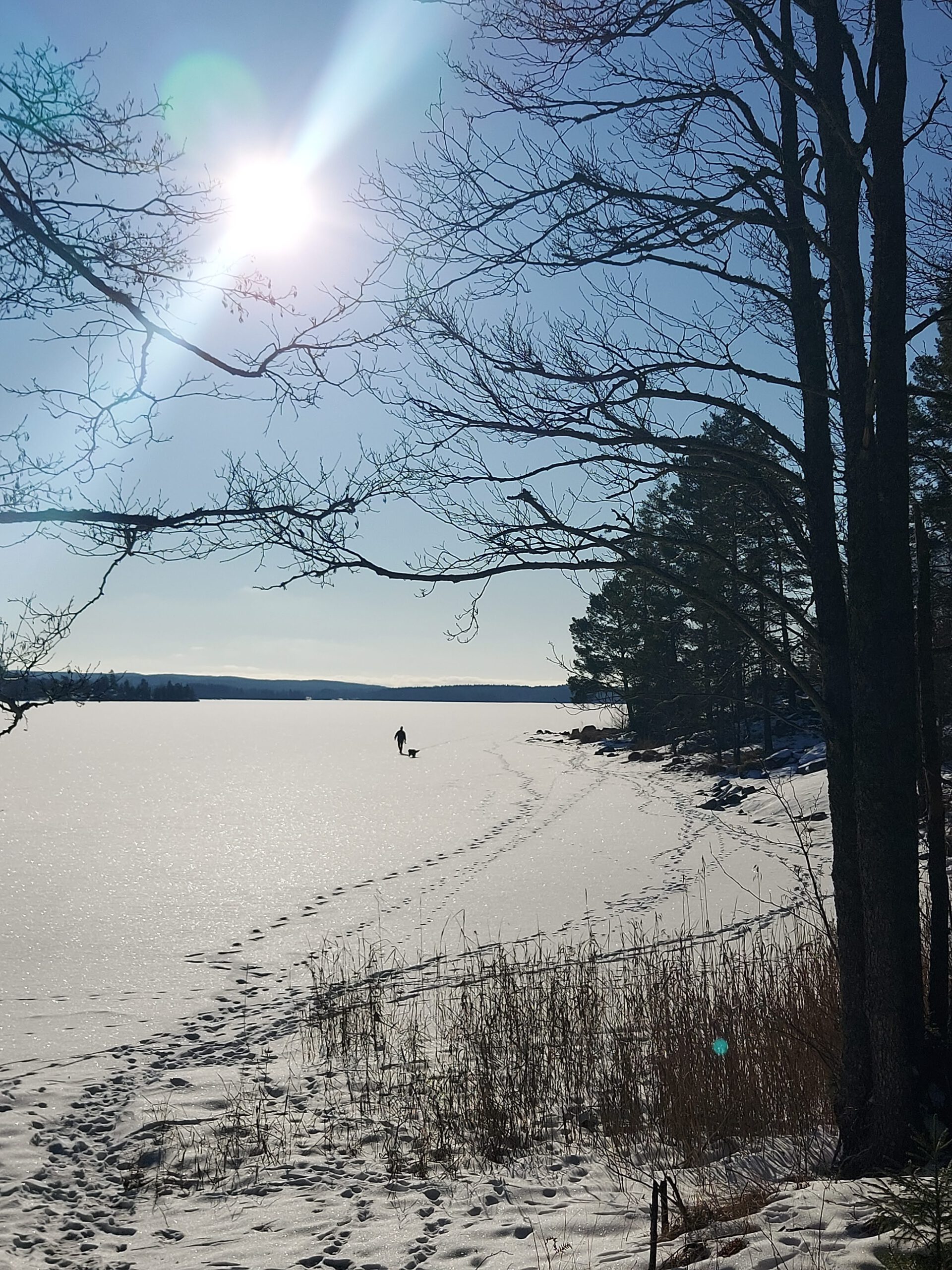 Ijs wandelen Ijs wandelen